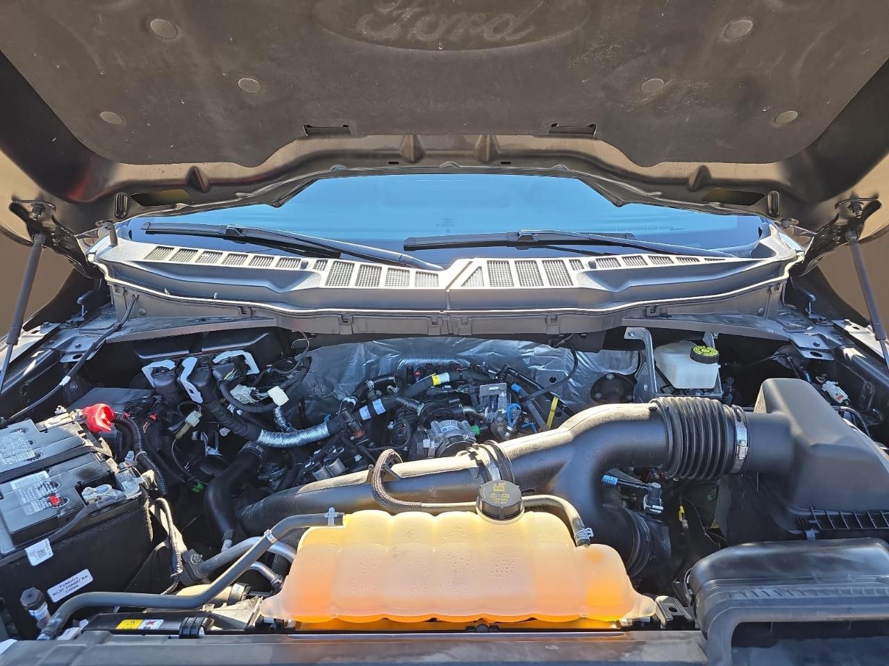Ford F150 XLT Supercrew 4WD 2024