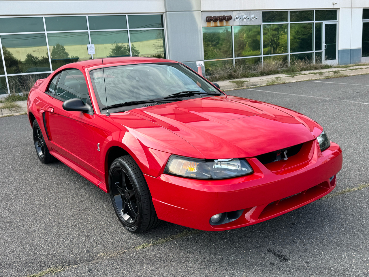 1999 Ford Mustang Cobra 2D Coupe