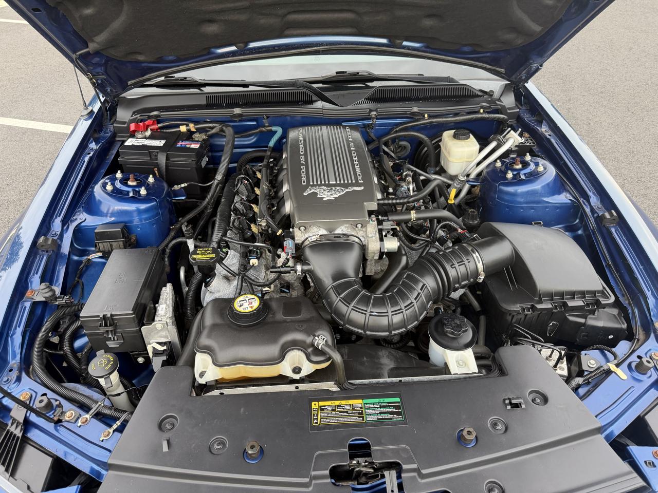 Ford Mustang GT Deluxe Convertible 2008