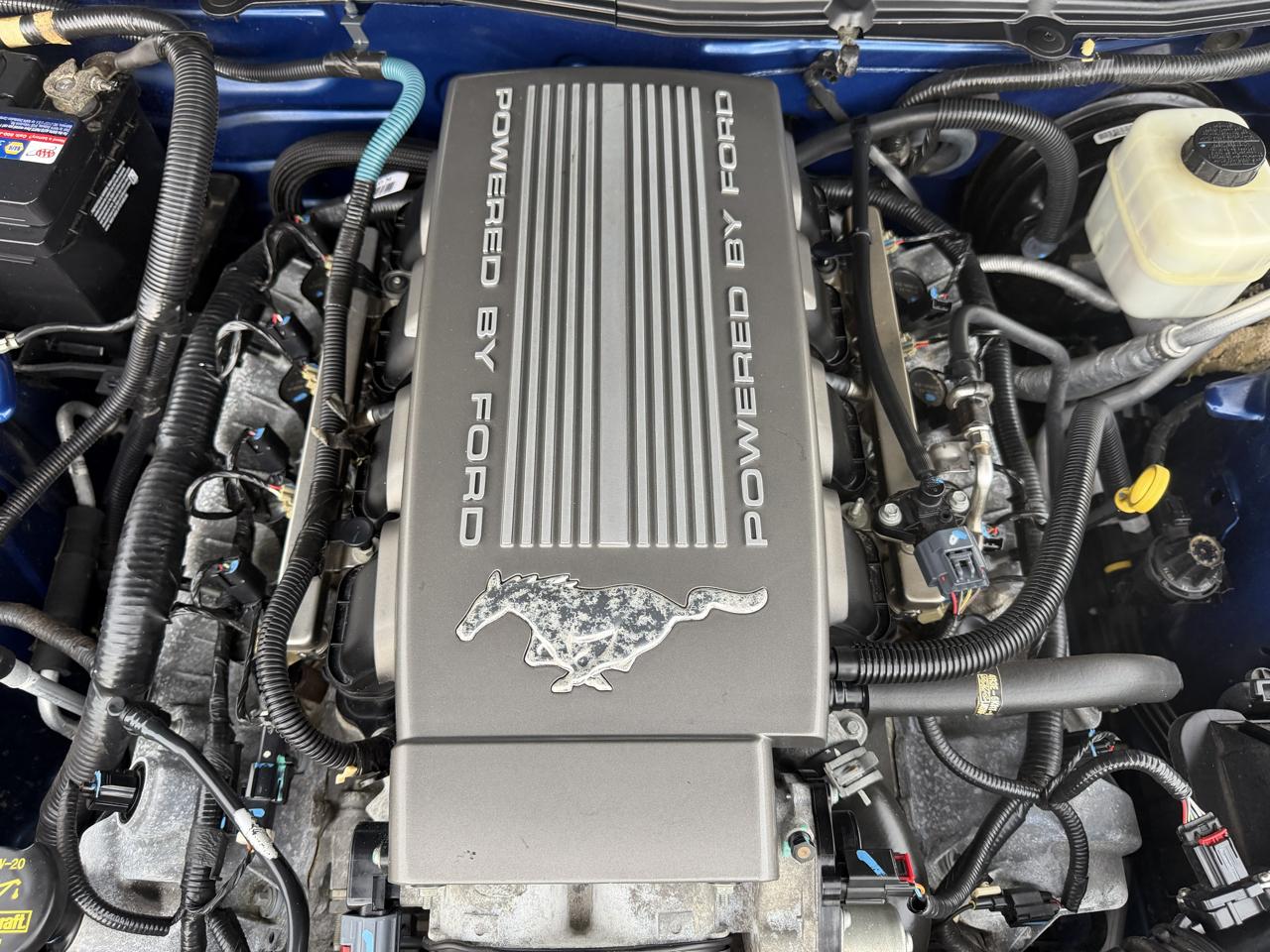 Ford Mustang GT Deluxe Convertible 2008