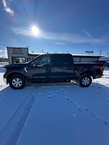 Ford F-150 4WD SuperCrew 139" XLT 2021