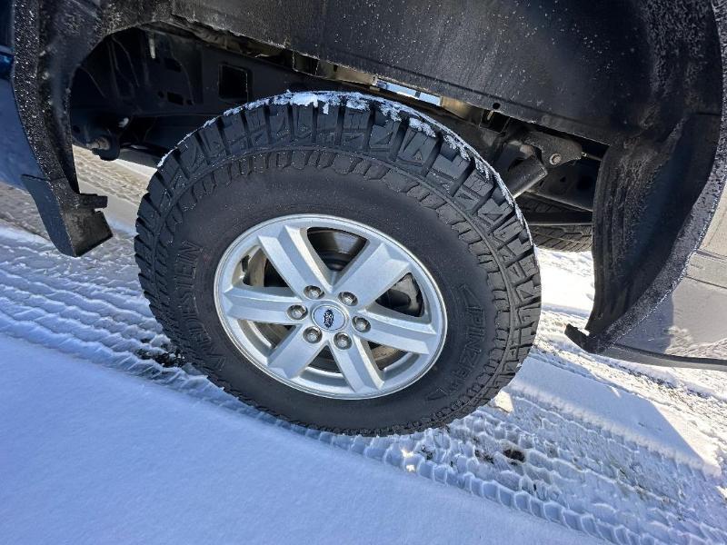 Ford F-150 4WD SuperCrew 139" XLT 2021