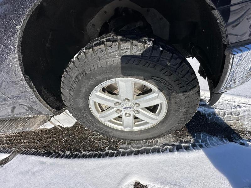 Ford F-150 4WD SuperCrew 139" XLT 2021