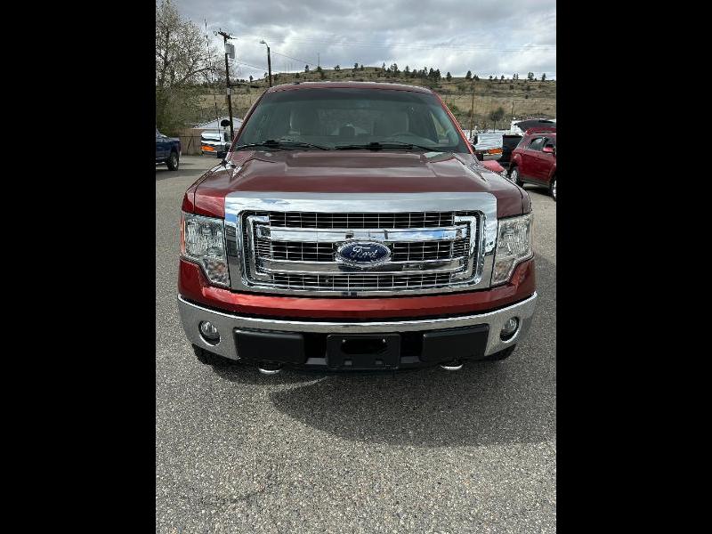 Ford F-150 4WD SuperCrew 139" XLT 2014