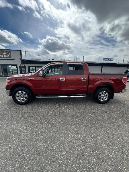 Ford F-150 4WD SuperCrew 139" XLT 2014
