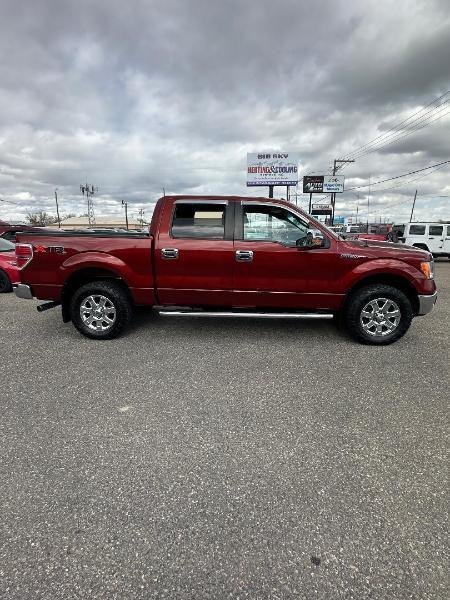 Ford F-150 4WD SuperCrew 139" XLT 2014