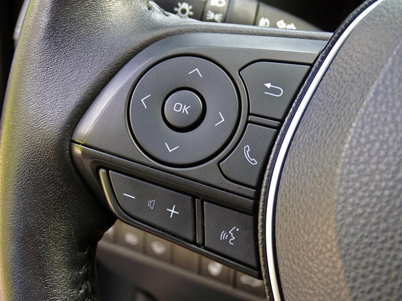 Toyota RAV4 XLE Premium AWD (Natl) 2019
