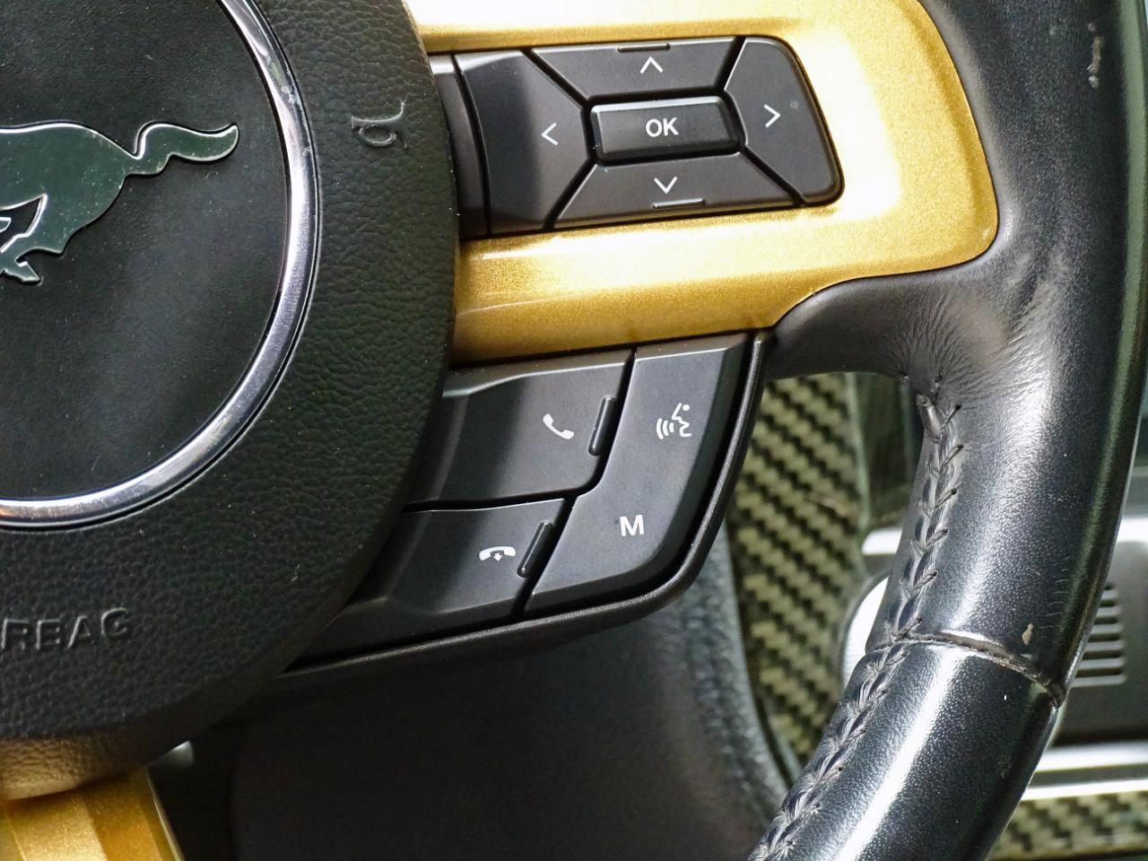 Ford Mustang EcoBoost Premium Coupe 2019
