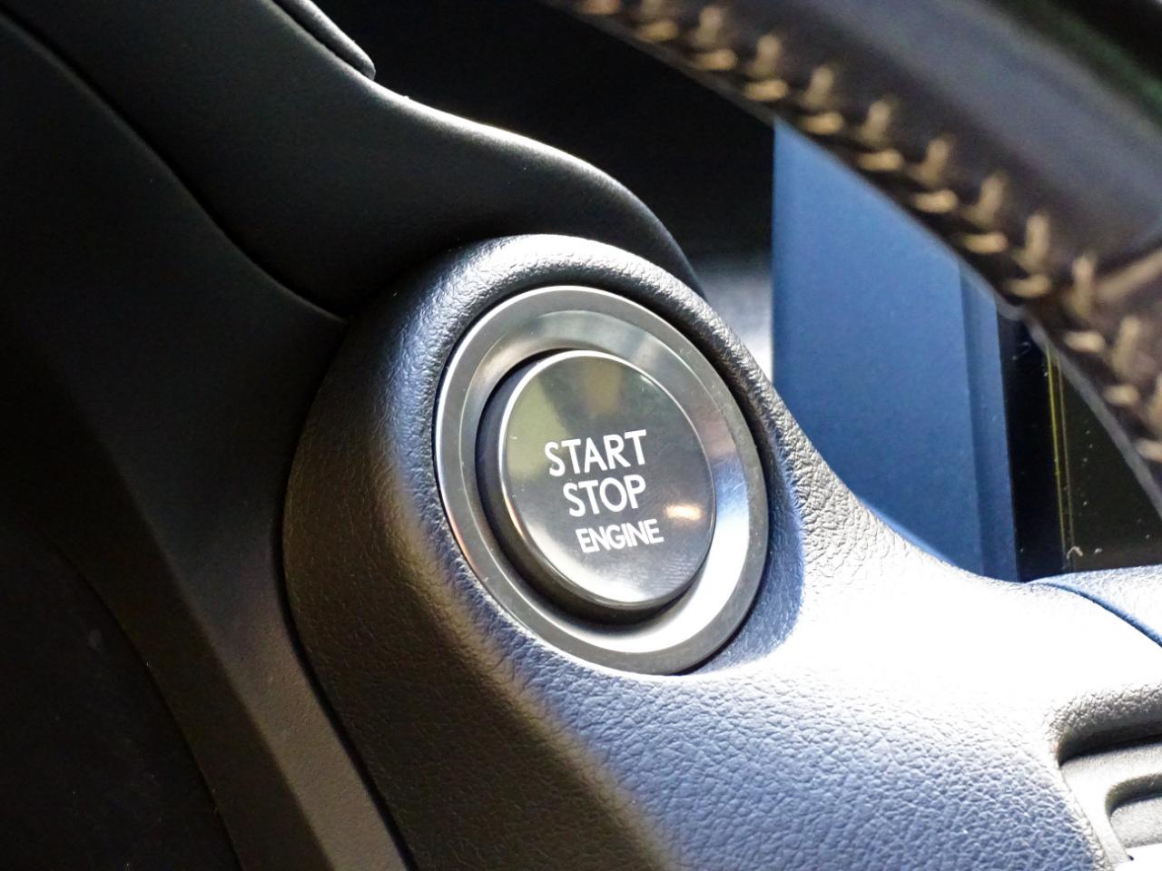 Lexus IS IS 350 F Sport RWD 2021
