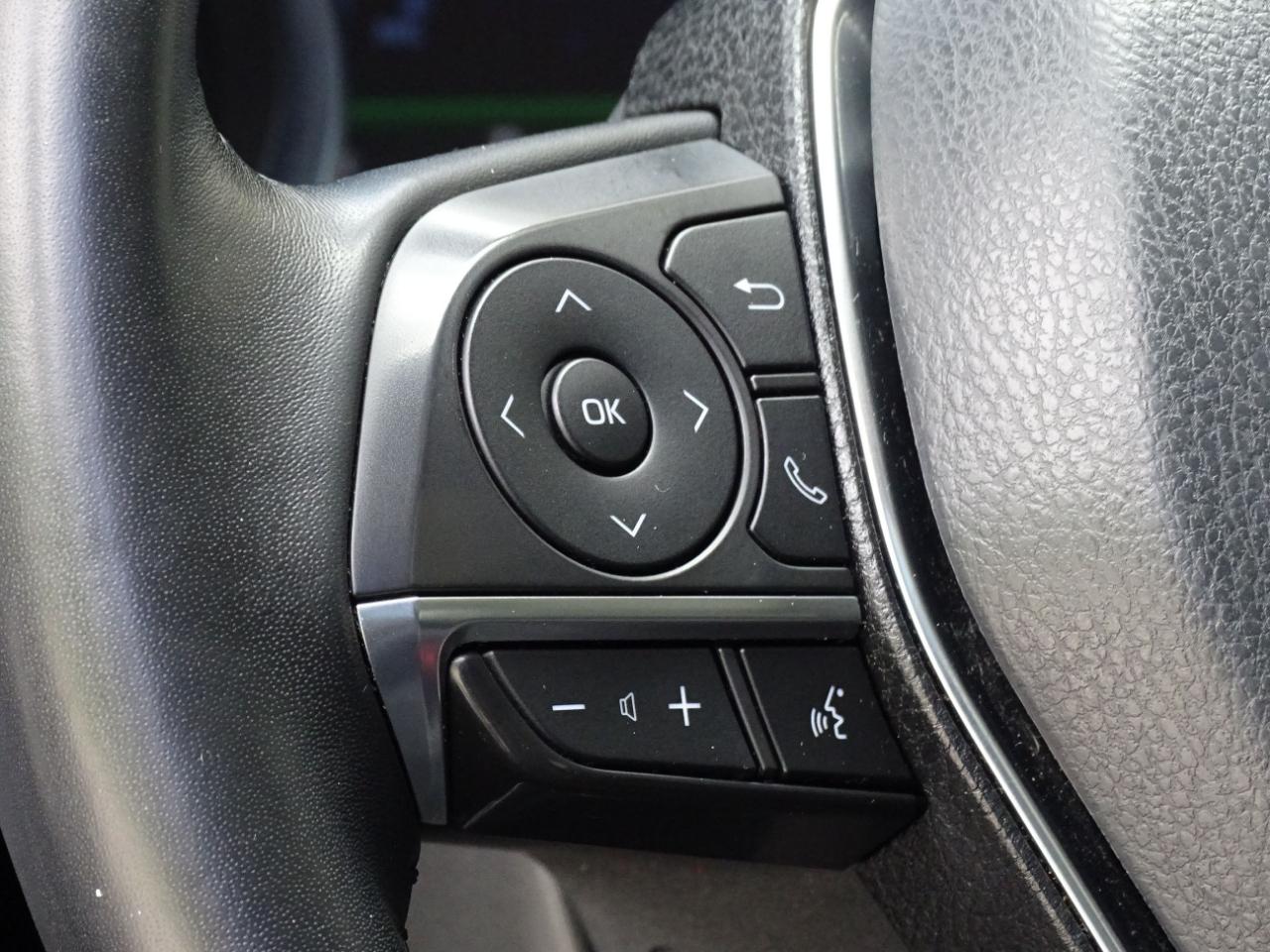 Toyota Camry XLE Auto (Natl) 2019