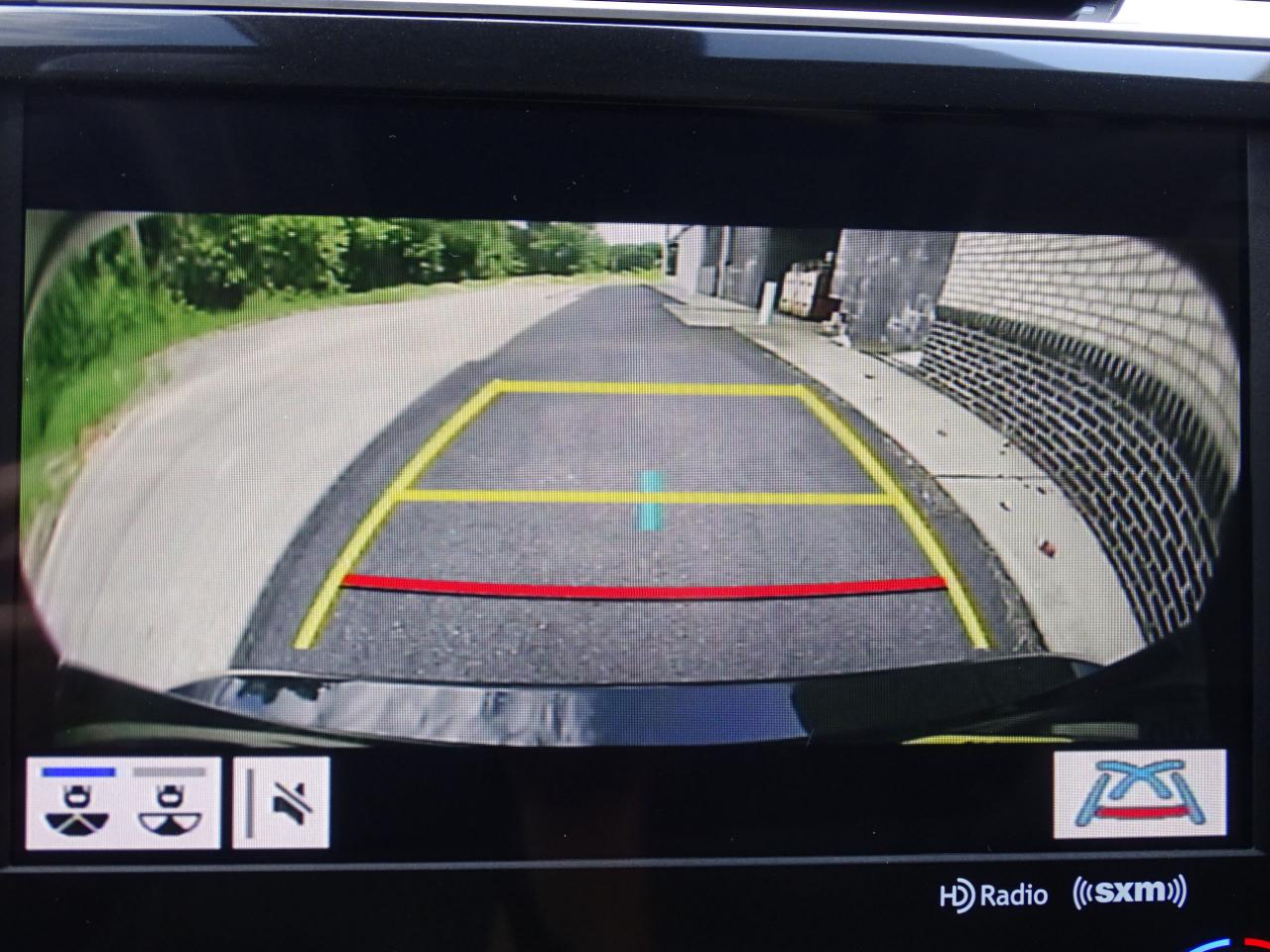 Toyota Camry XLE Auto (Natl) 2019