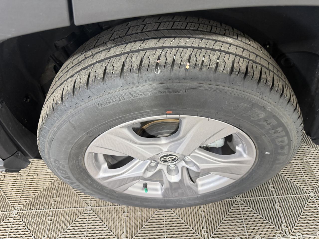Toyota RAV4 XLE AWD (Natl) 2025