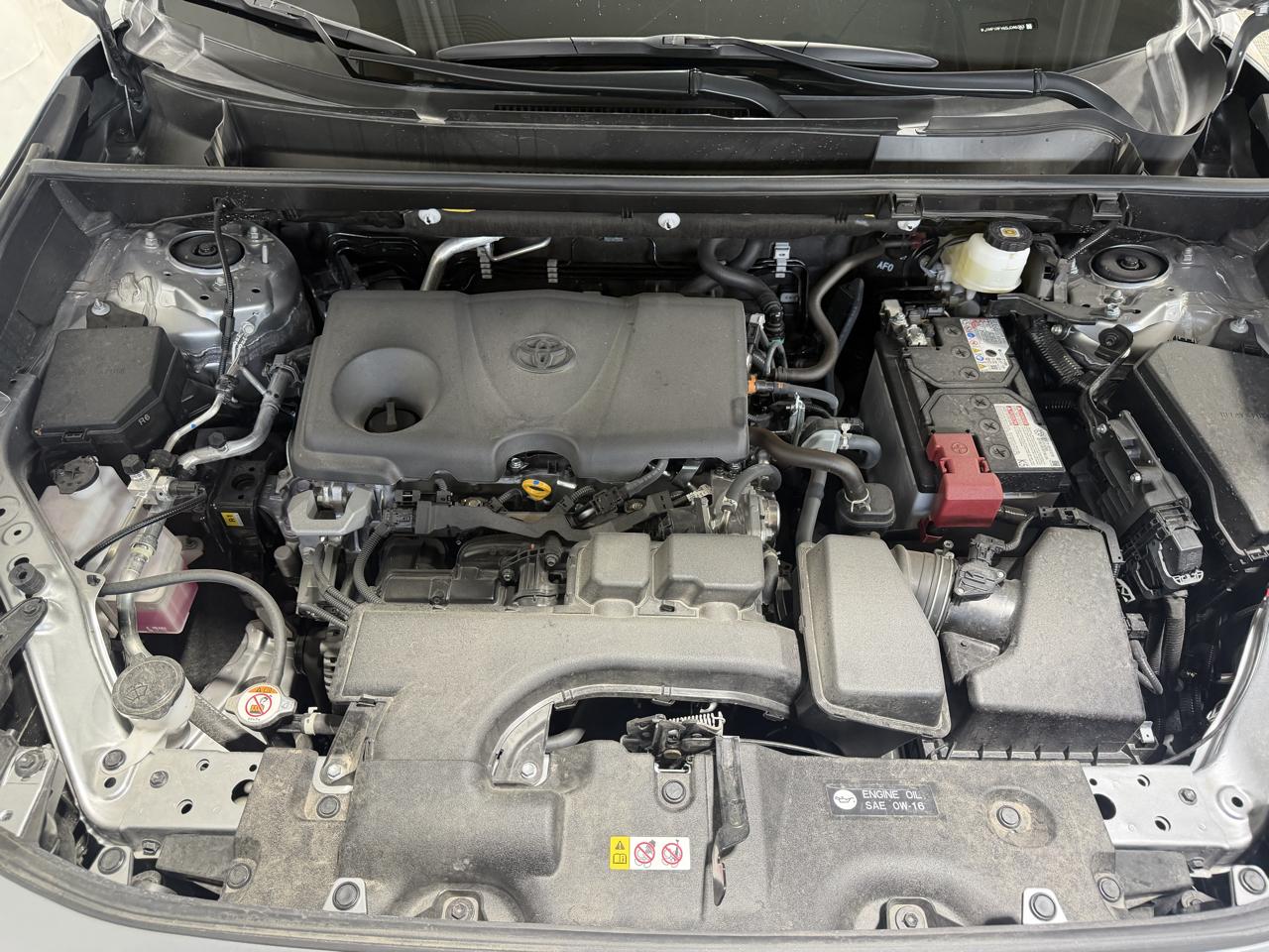 Toyota RAV4 XLE AWD (Natl) 2025