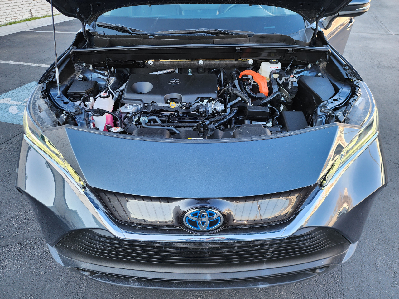 Toyota Venza LE 2024