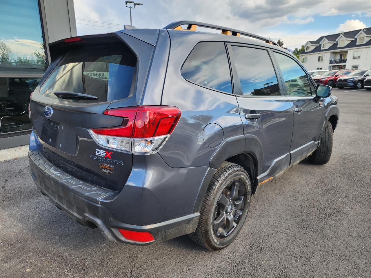 Subaru Forester Wilderness 2022