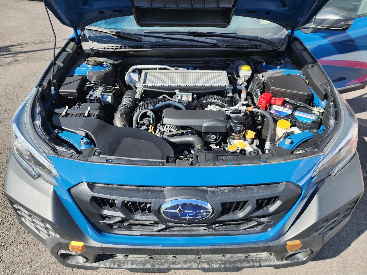 Subaru Outback Wilderness 2024