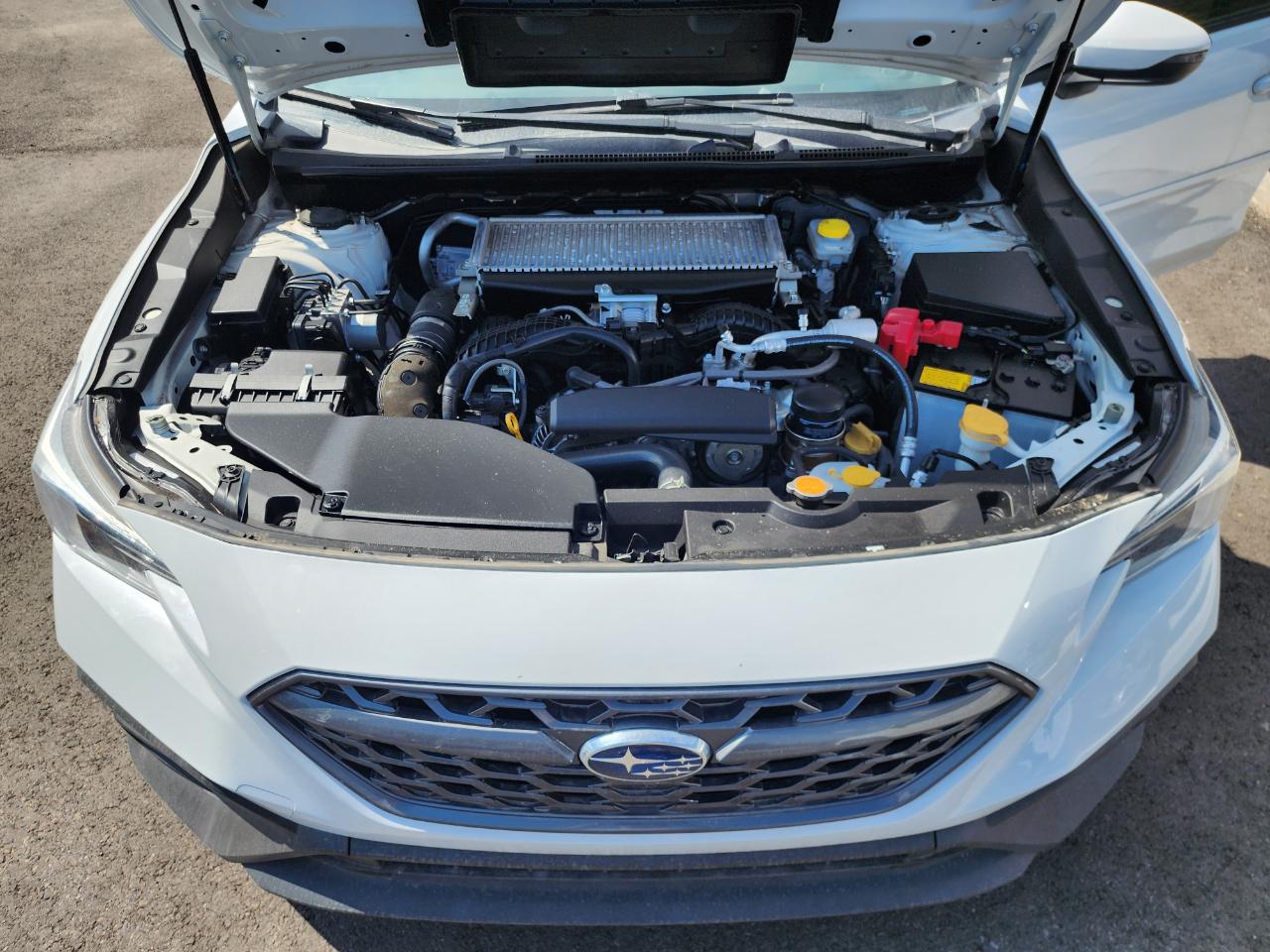 Subaru WRX GT 2022