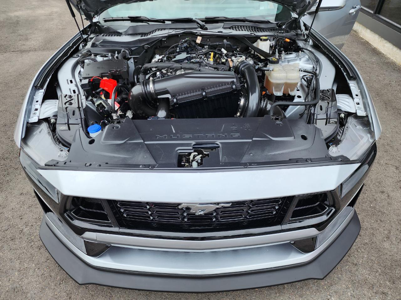 Ford Mustang EcoBoost Premium Convertible 2024
