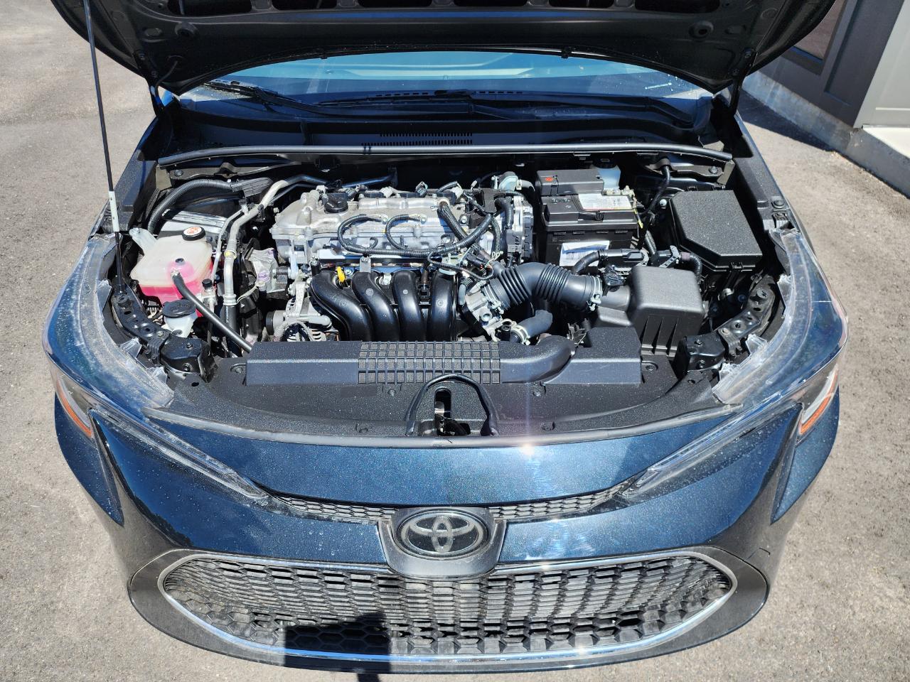 Toyota Corolla LE 2022