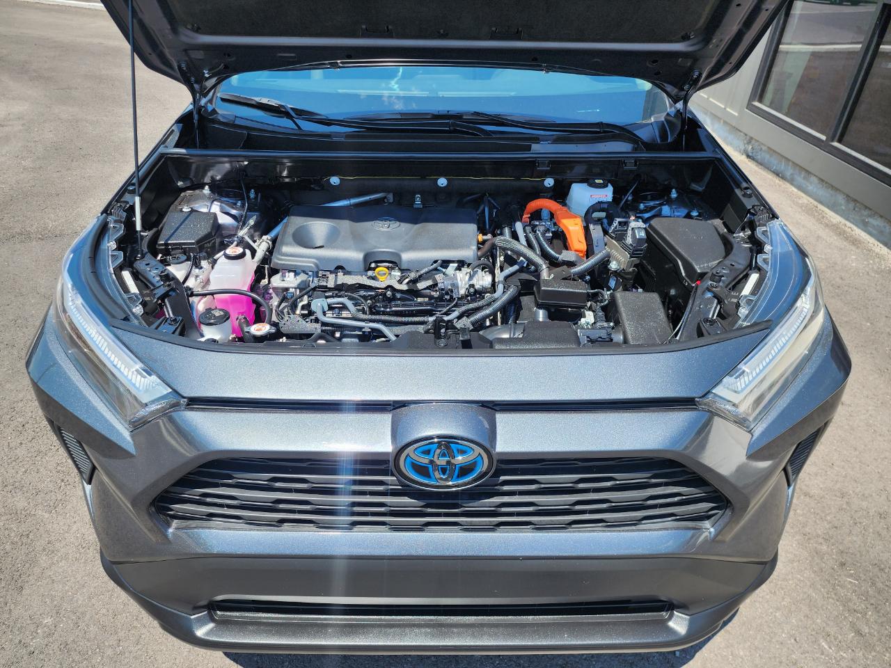 Toyota RAV4 Hybrid LE 2024