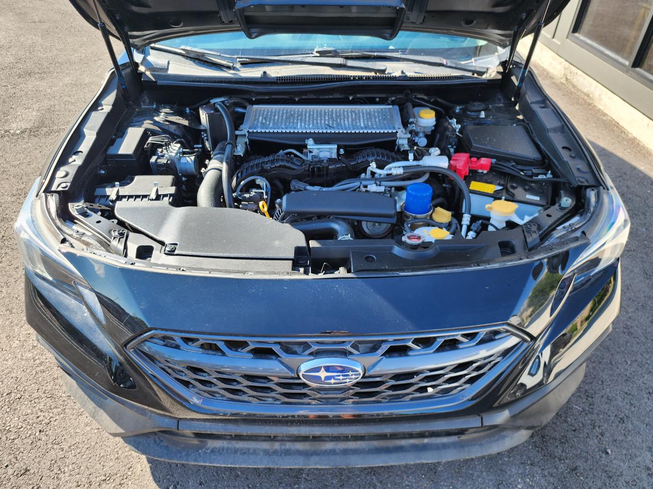 Subaru WRX Premium 6M 2022