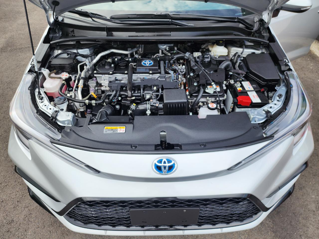 Toyota Corolla  2023