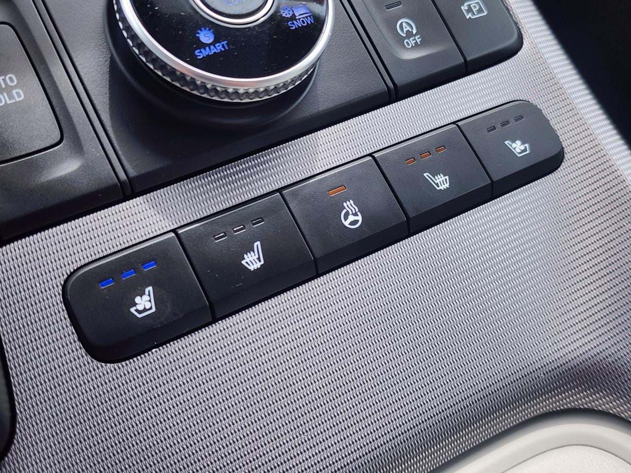 Hyundai Palisade Calligraphy AWD 2024
