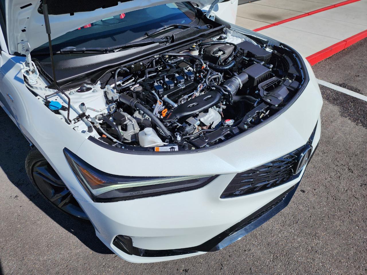 Acura Integra A-SPEC 2024
