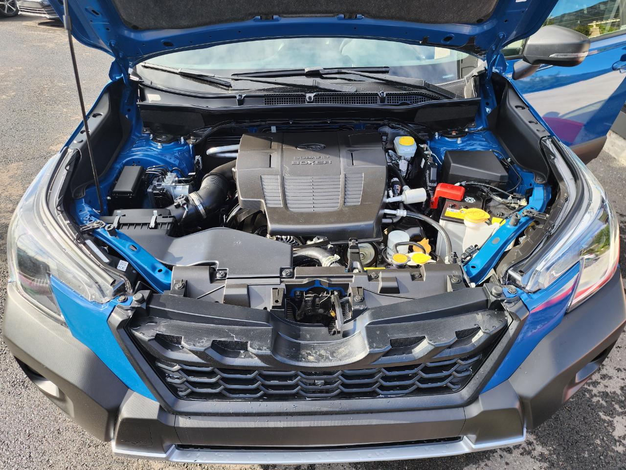 Subaru Forester Wilderness 2024