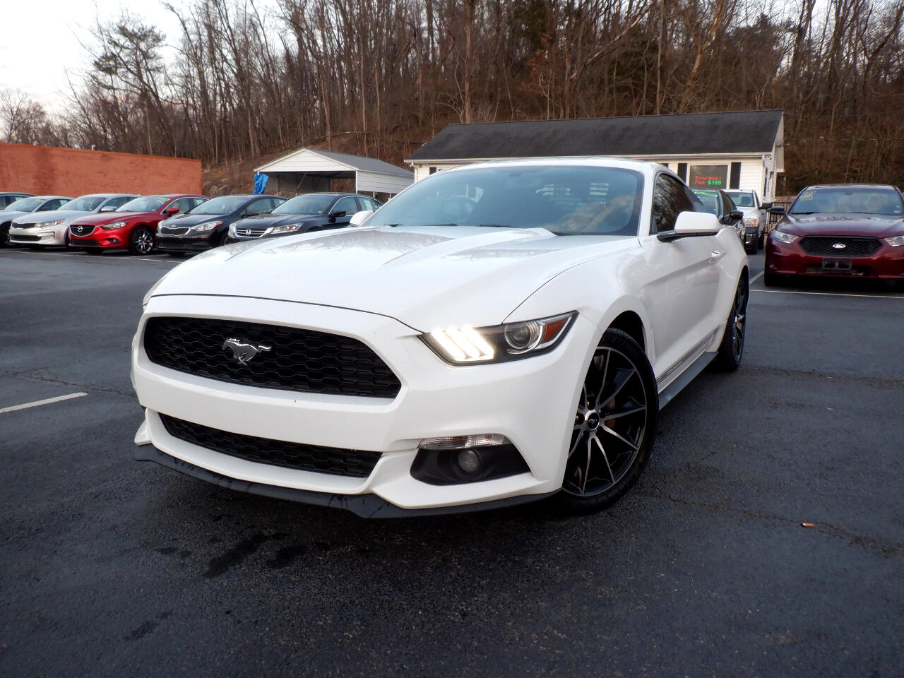Ford Mustang 2dr Fastback EcoBoost 2016
