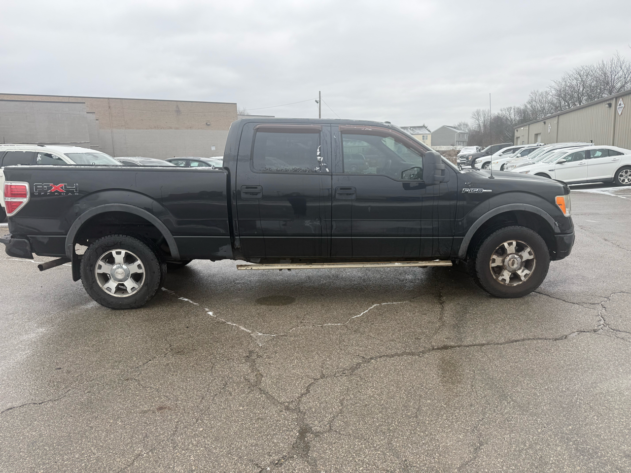 Ford F-150 4WD SuperCrew 145" FX4 2010