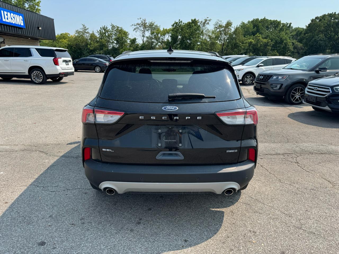 Ford Escape Hybrid SEL AWD 2021