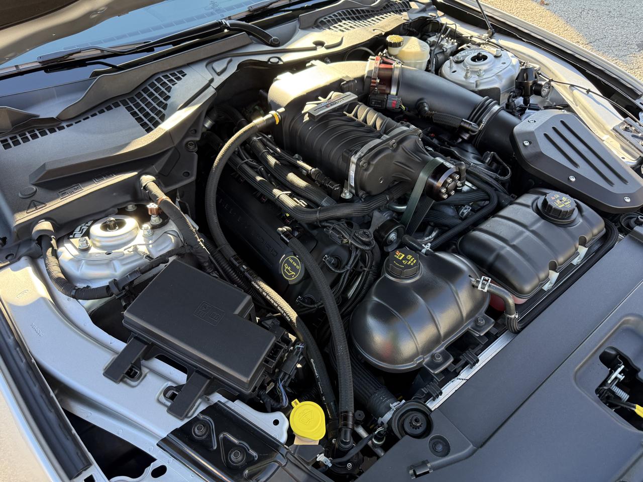 Ford Mustang GT Premium Coupe 2016
