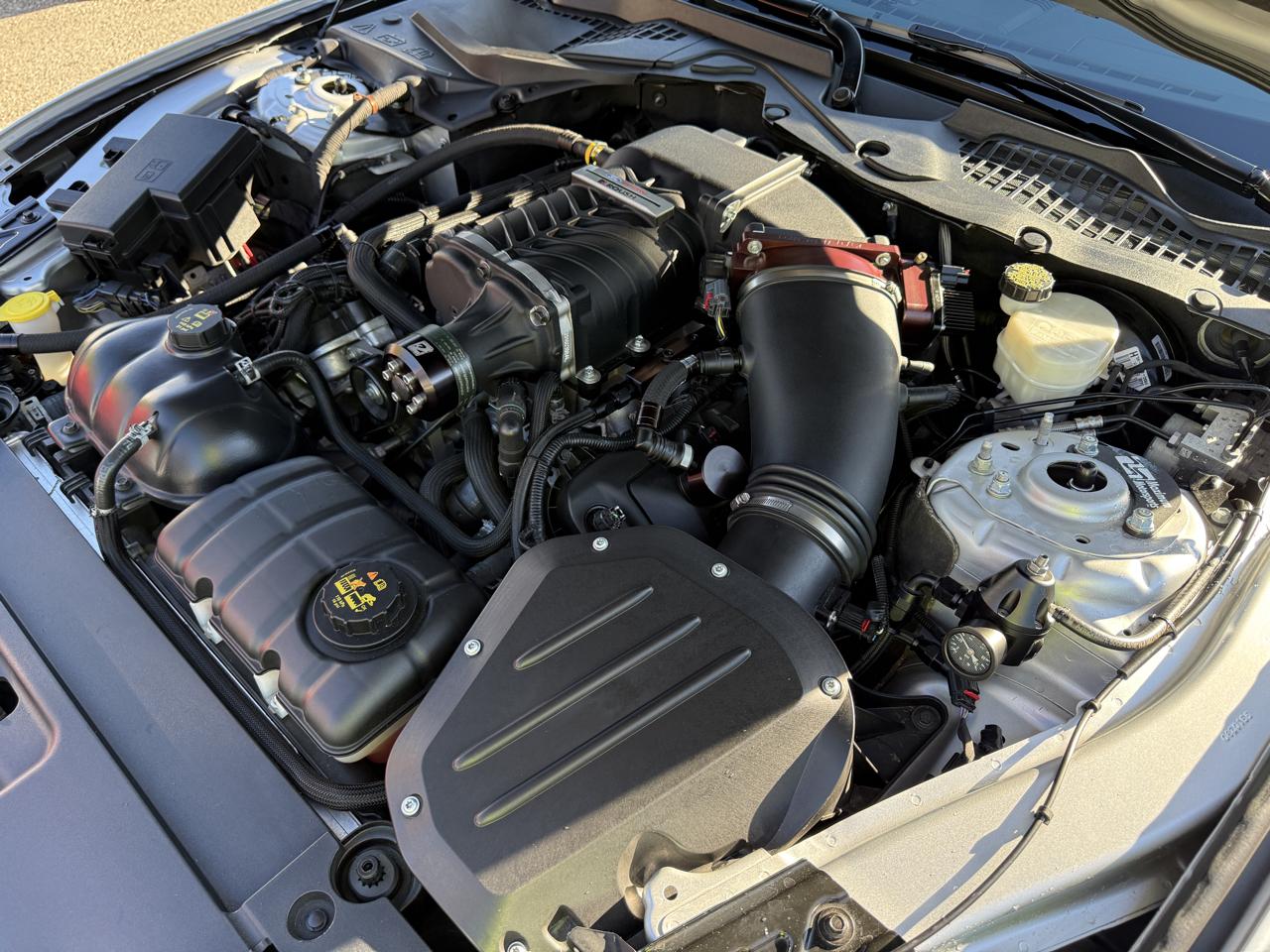 Ford Mustang GT Premium Coupe 2016