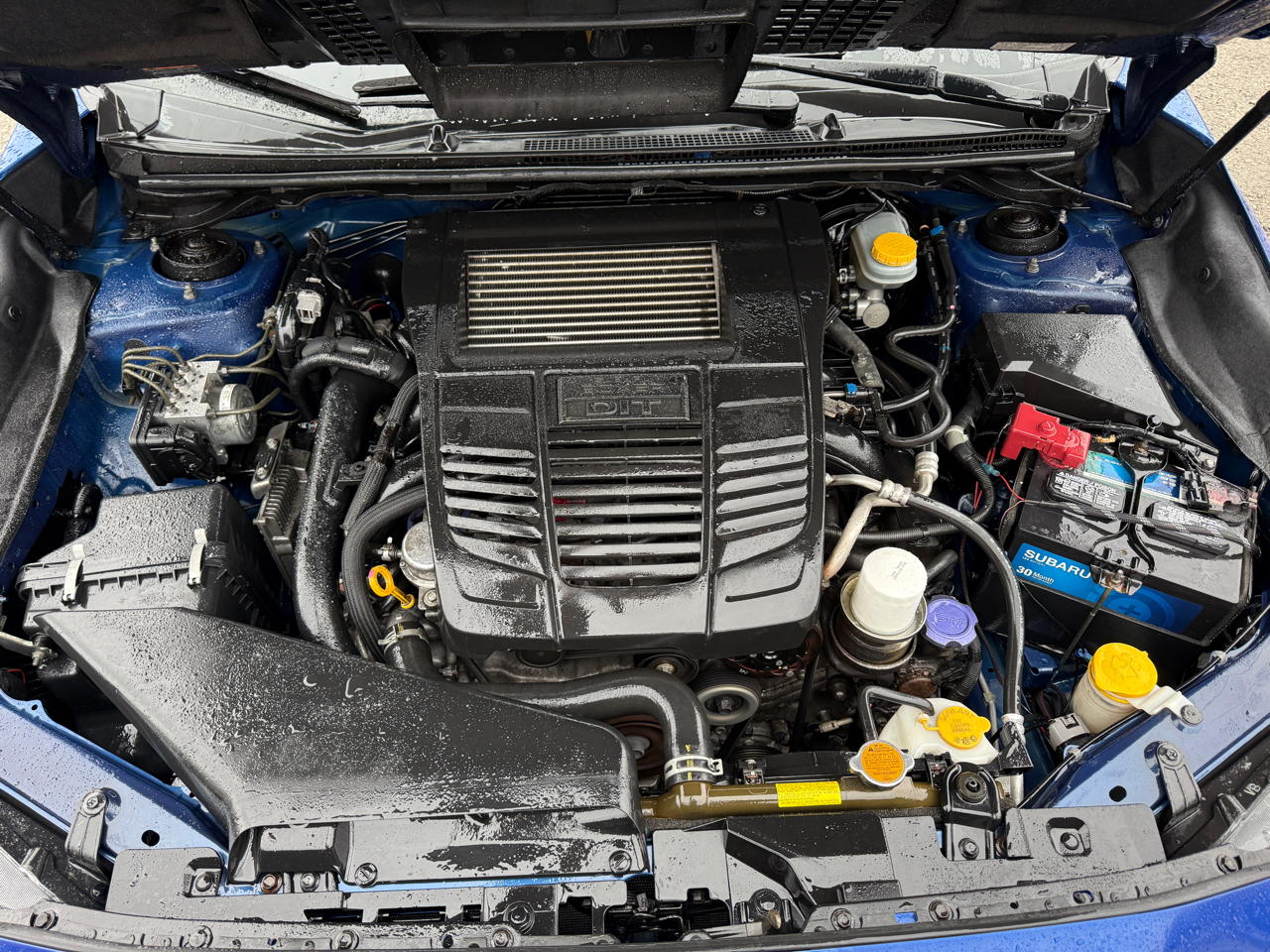 Subaru WRX Premium 6M 2017