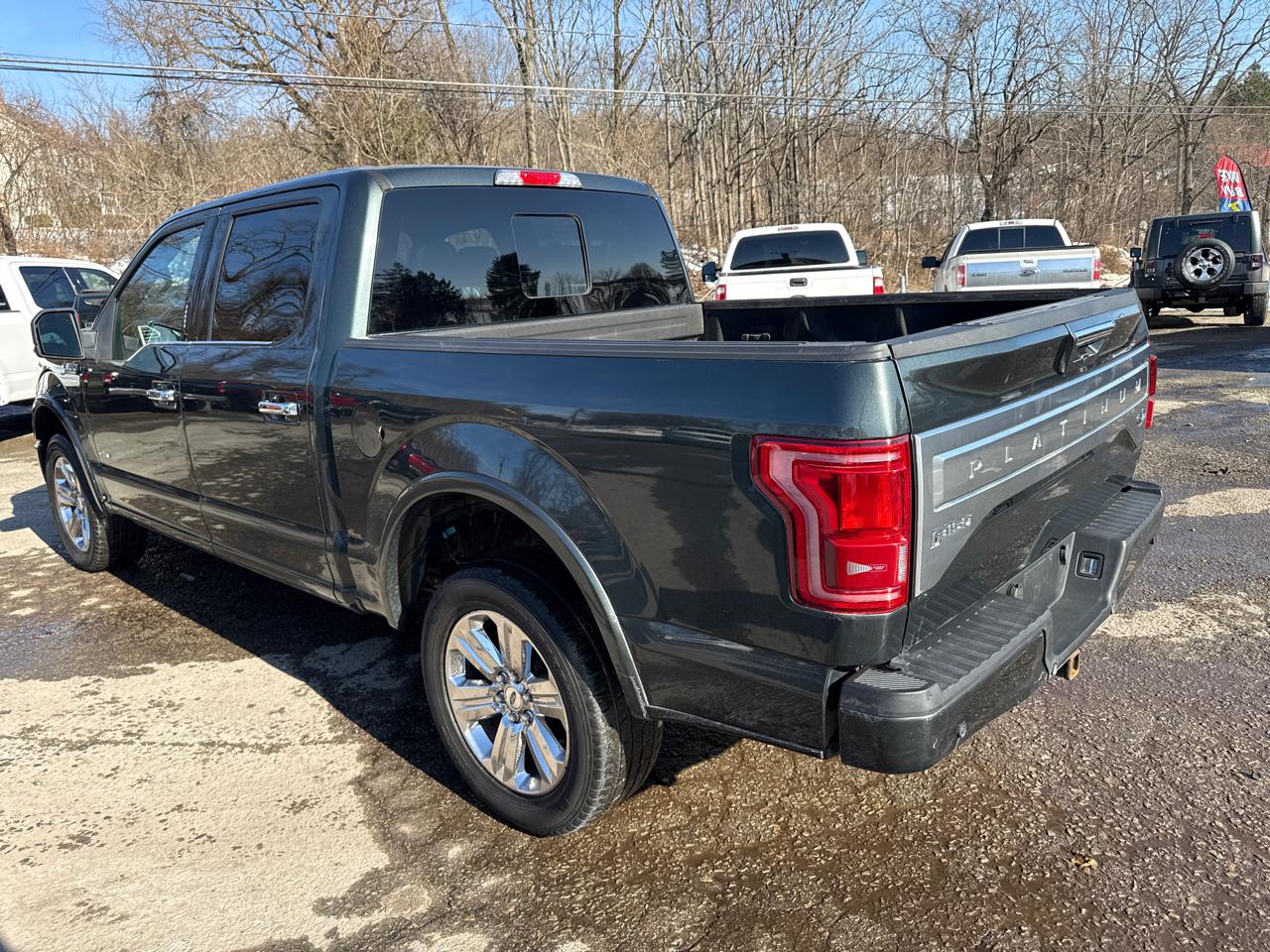 Ford F-150 Platinum SuperCrew 5.5-ft. Bed 4WD 2015