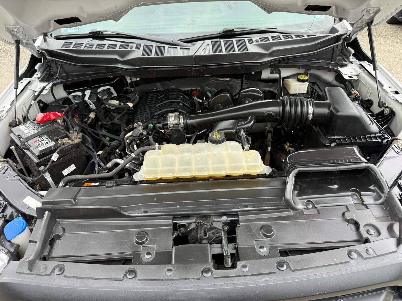 Ford F-150 XL 8-ft. Bed 4WD 2021