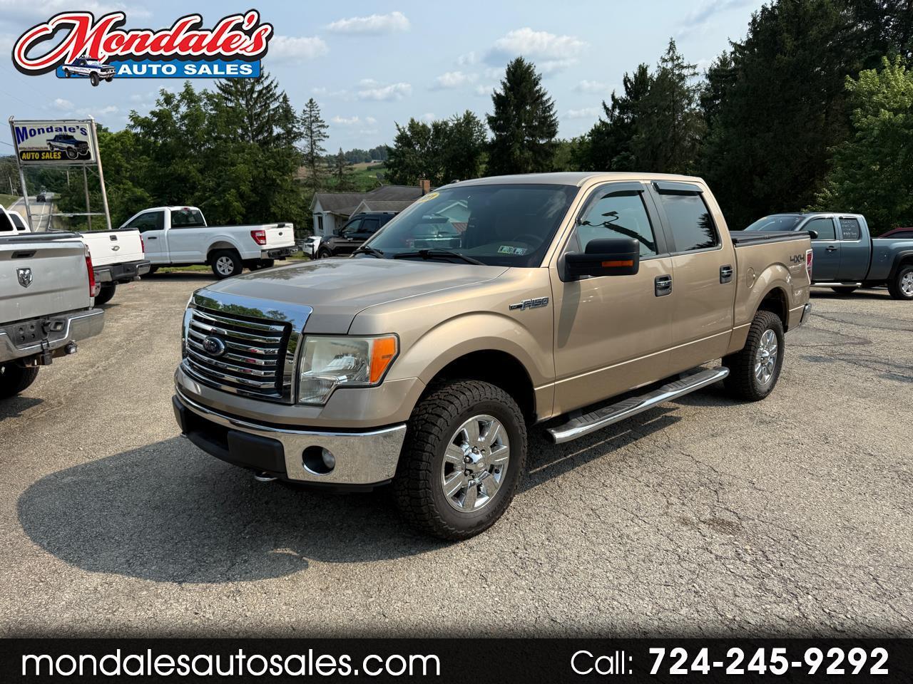 Ford F-150 XLT SuperCrew 5.5-ft. Bed 4WD 2011