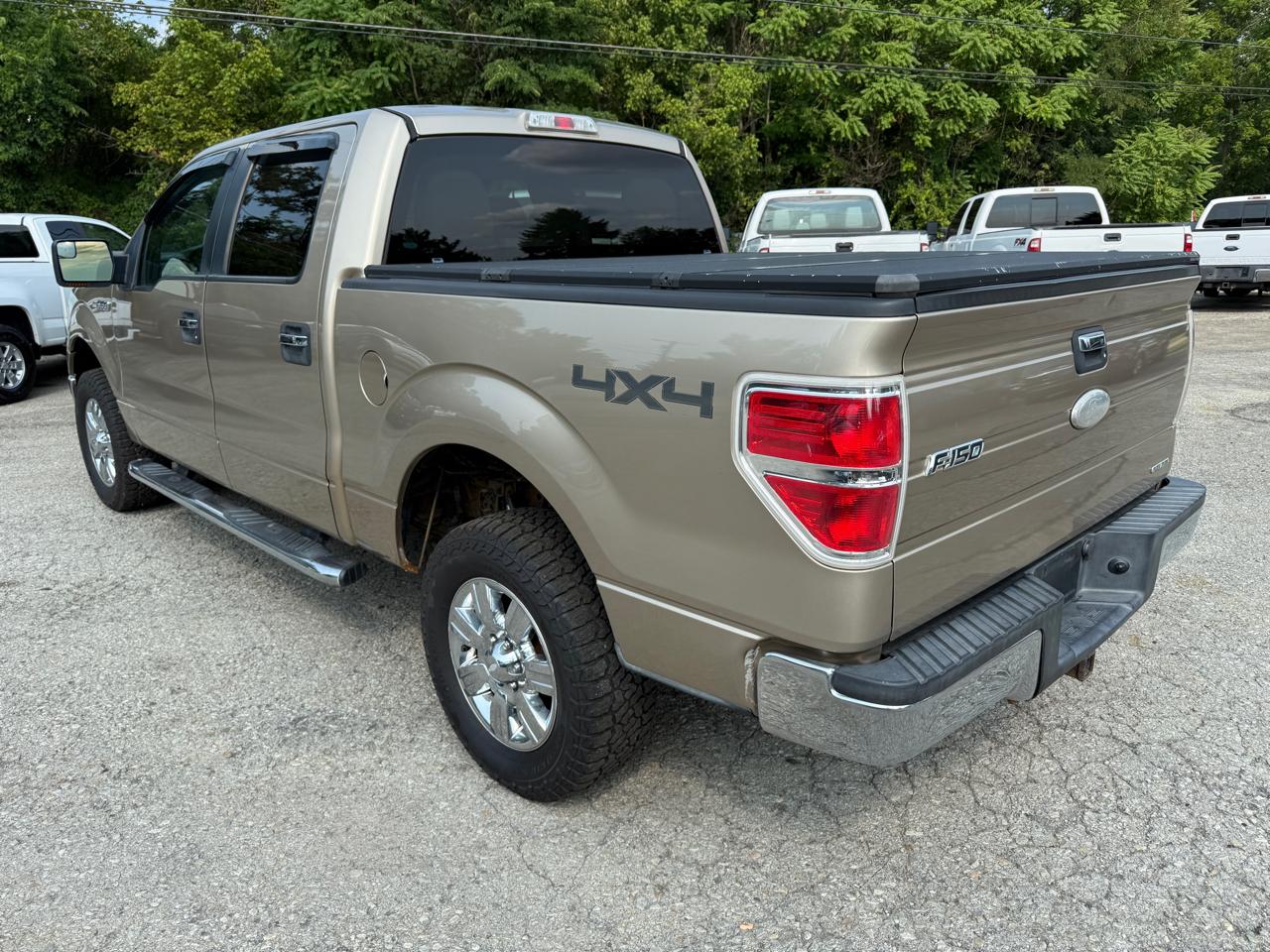 Ford F-150 XLT SuperCrew 5.5-ft. Bed 4WD 2011