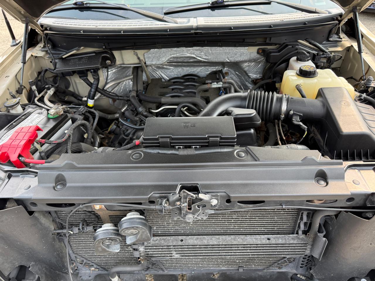 Ford F-150 XLT SuperCrew 5.5-ft. Bed 4WD 2011