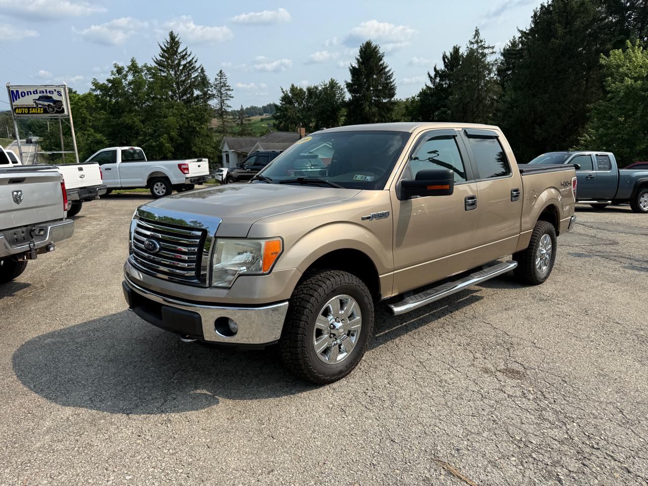 Ford F-150 XLT SuperCrew 5.5-ft. Bed 4WD 2011