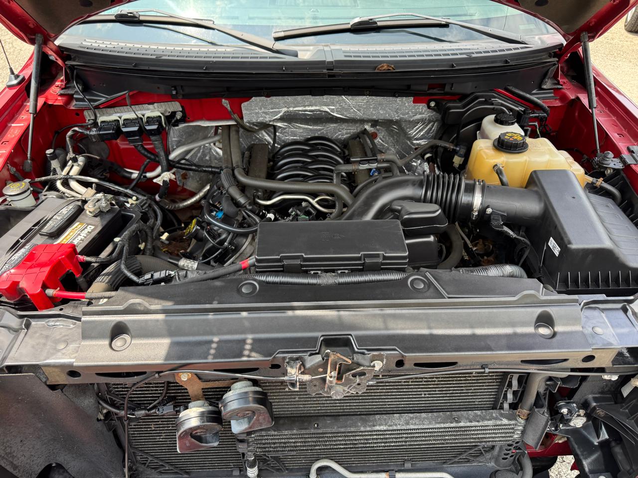 Ford F-150 XLT SuperCrew 6.5-ft. Bed 4WD 2013