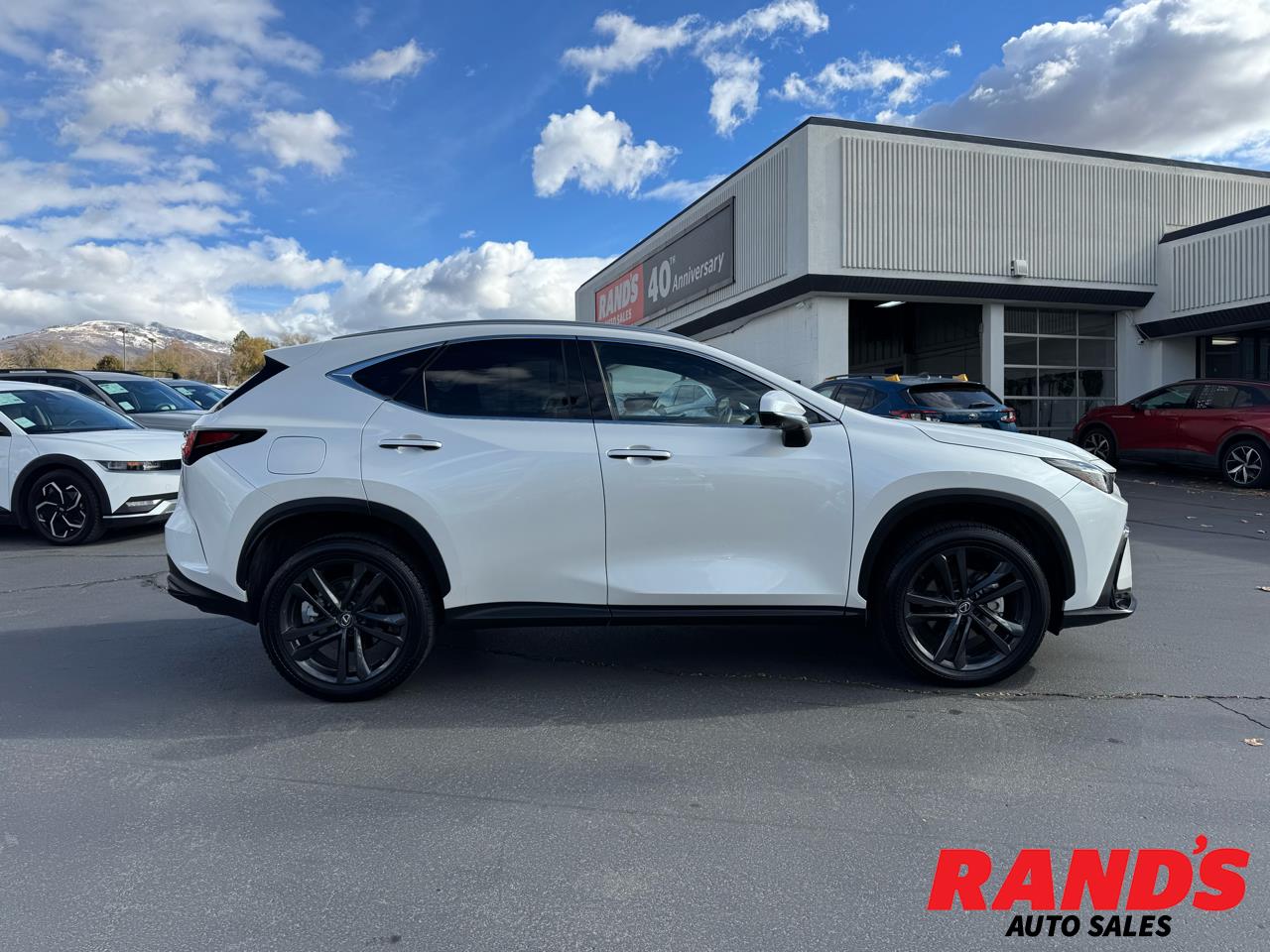 2024 Lexus NX Base's photo