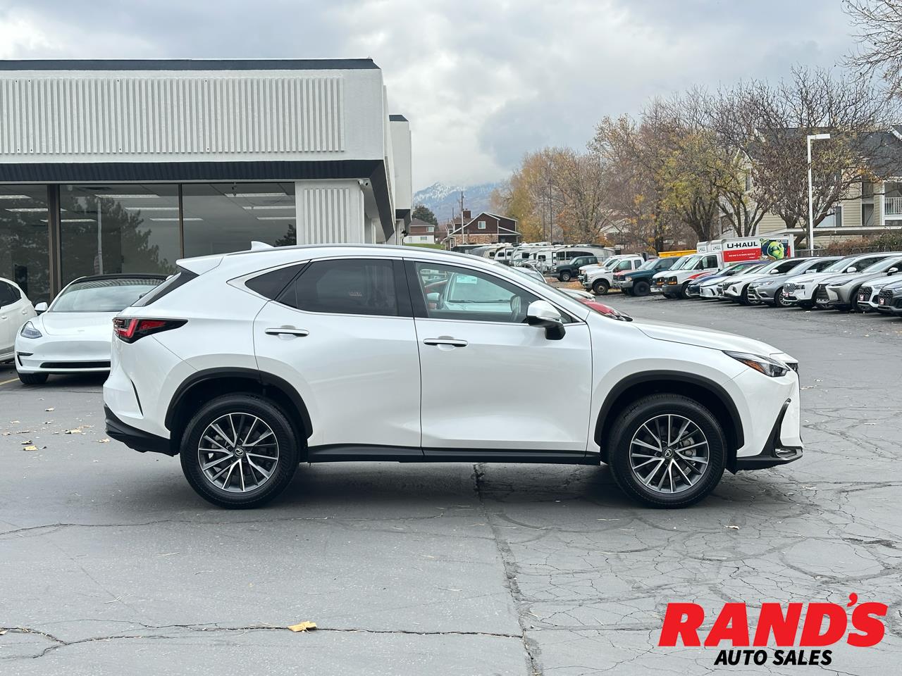 2024 Lexus NX 350h Premium AWD