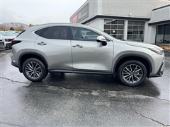 2024 Lexus NX 