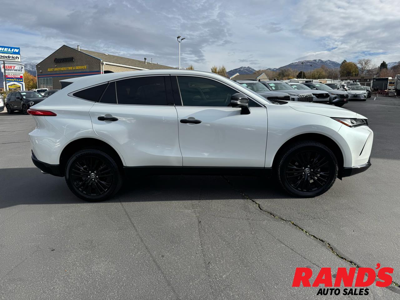 2023 Toyota Venza XLE Nightshade AWD