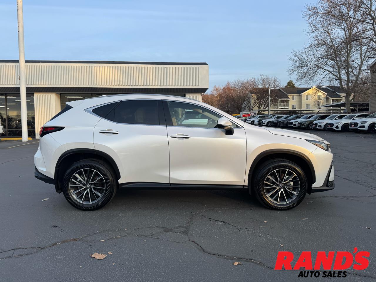 2025 Lexus NX 350h Premium AWD
