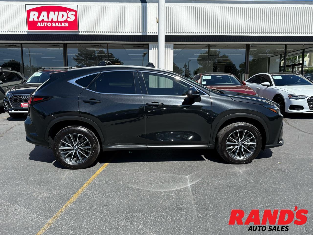 2025 Lexus NX 350h AWD