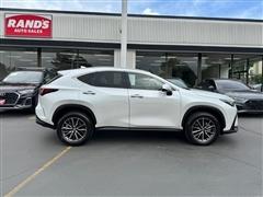 2024 Lexus NX 