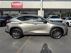 2024 Lexus NX 300h 